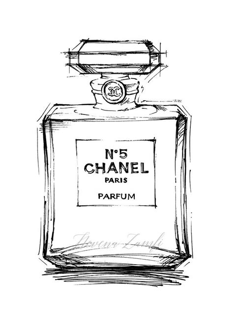 Chanel perfume no 5 drawing